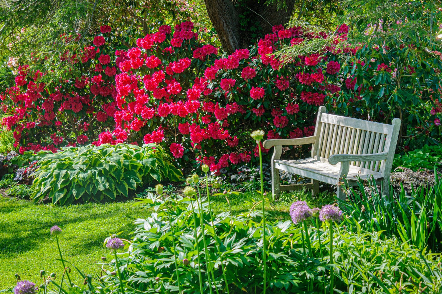 Bench in Flower Garden