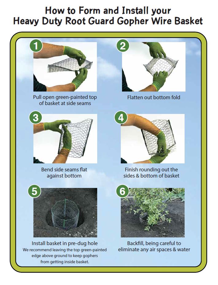 How to Form & Install your Heavy Duty Root Guard Gopher Wire Basket ...