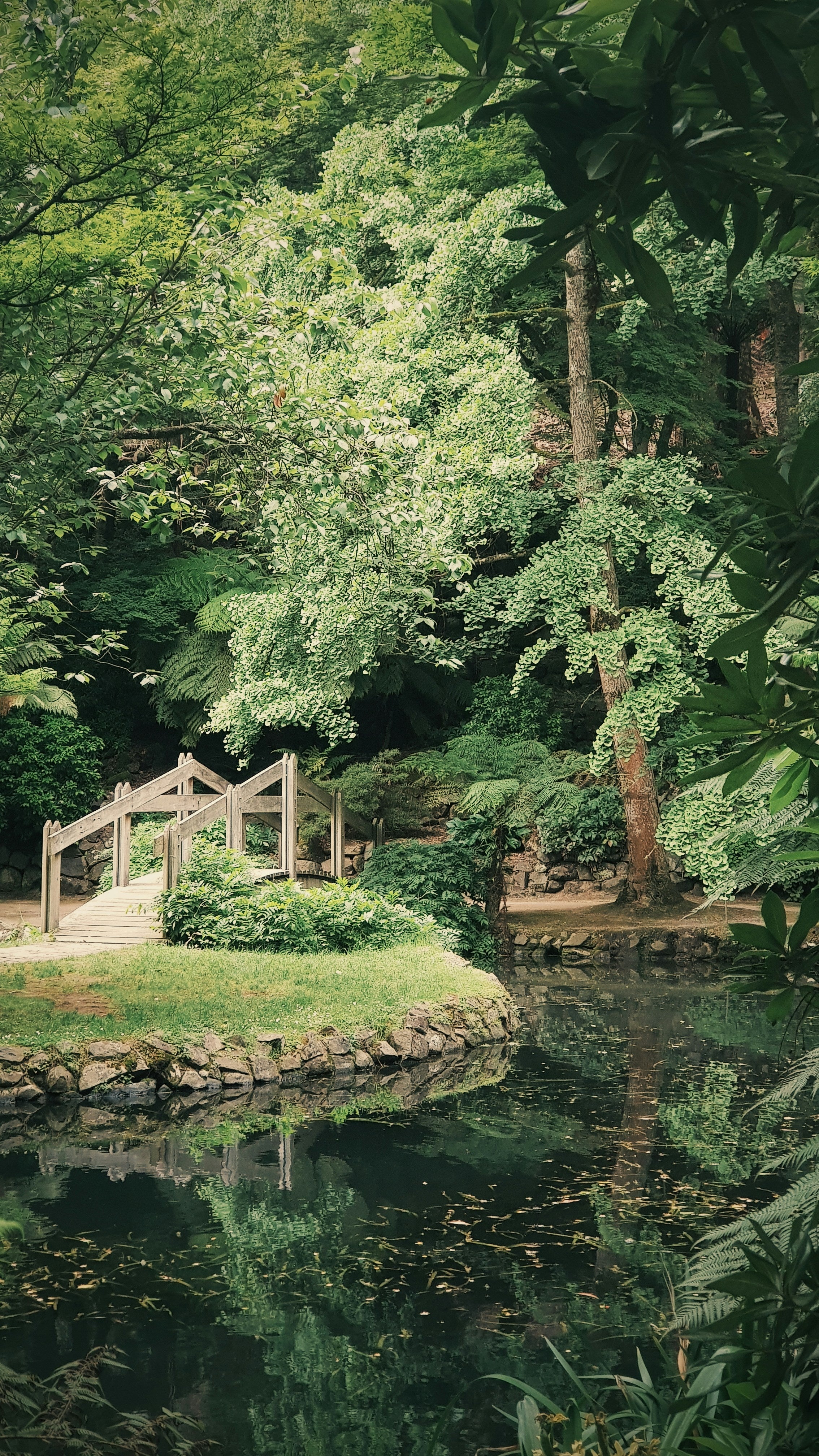 Garden with Bridge and Pond